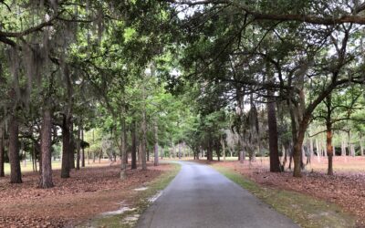 Walking through life