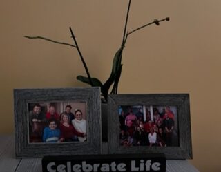 The Orchid